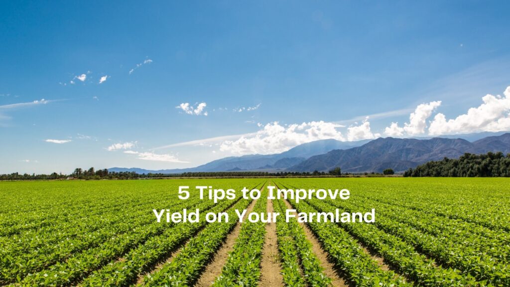 Improve Yield on Your Farmland