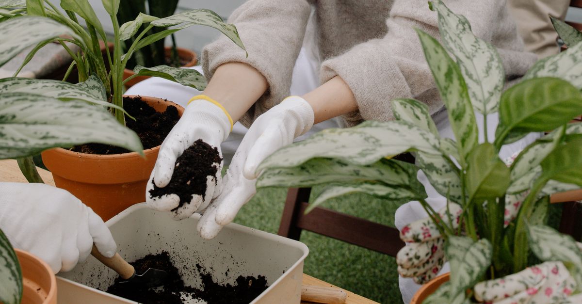 Hands mixing fresh organic compost into a container of potting soil